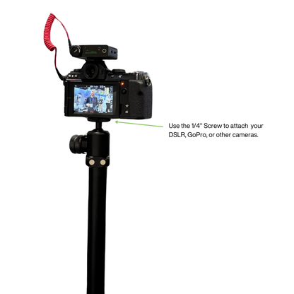 G-Bundle Three - GPOD Pauly P w/GPOD Base