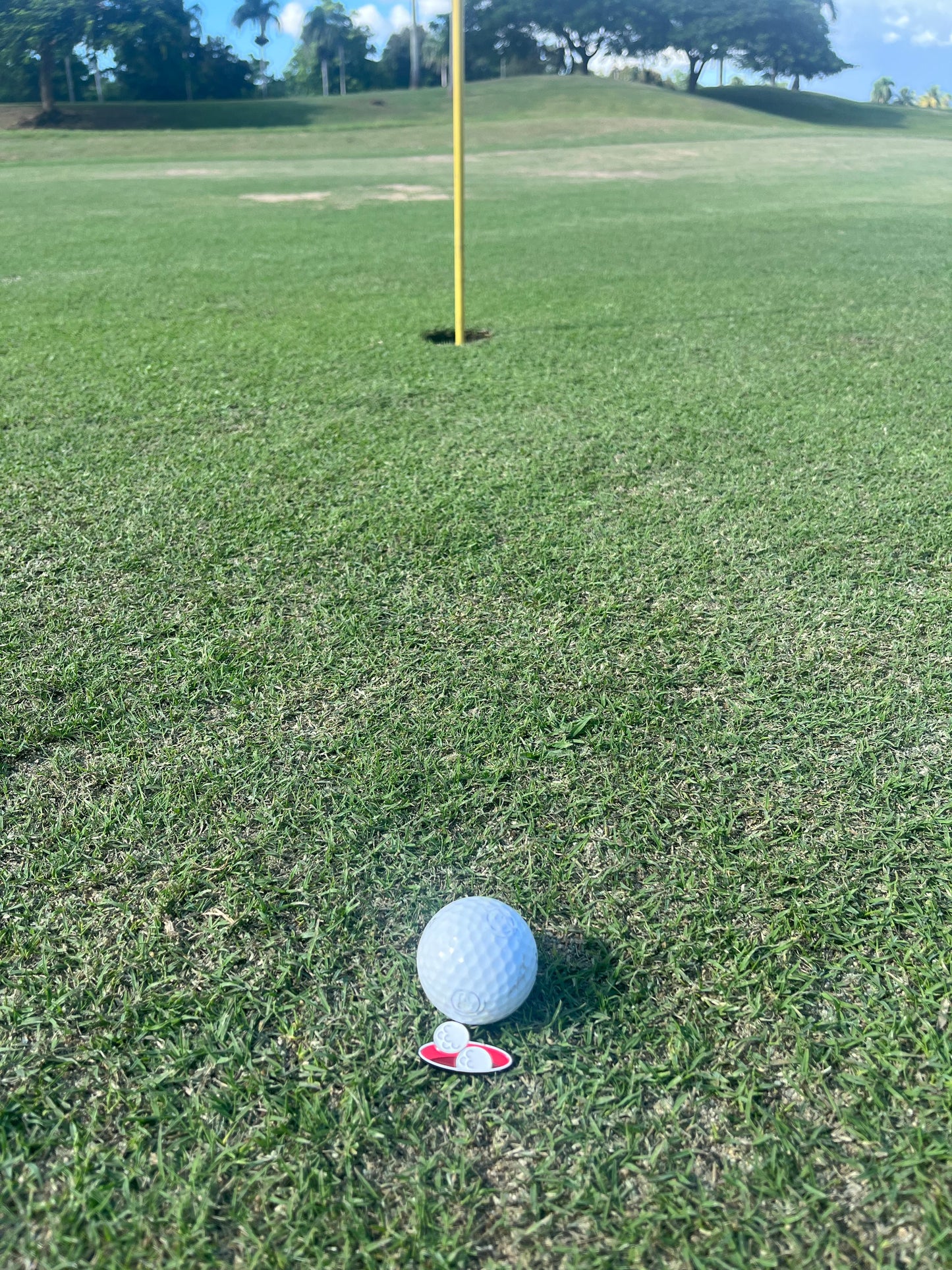 LOGO BALL MARKER