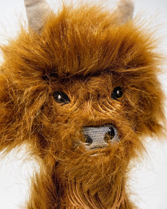Highland Cow - Hybrid Cover