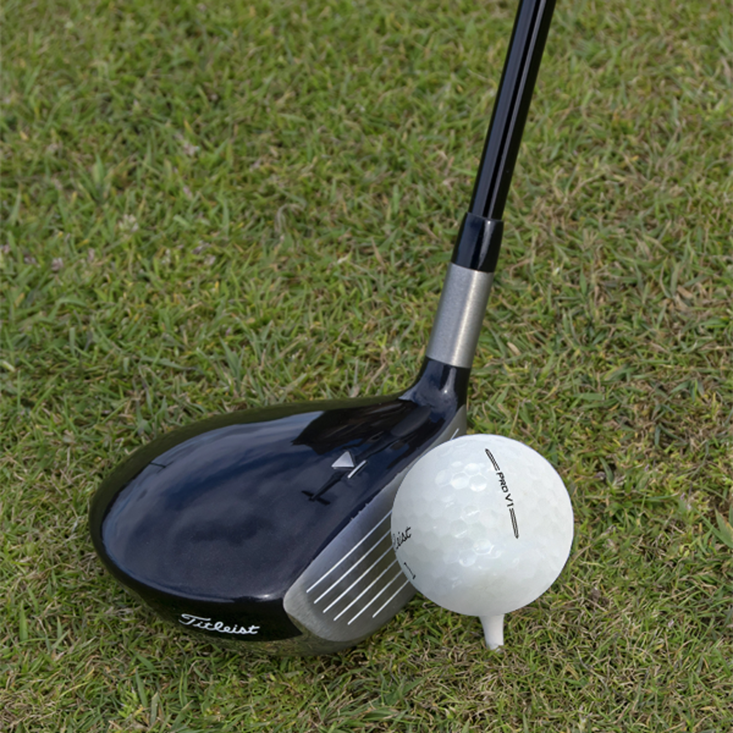 Used Titleist 2025 Pro V1 Golf Balls - 1 Dozen