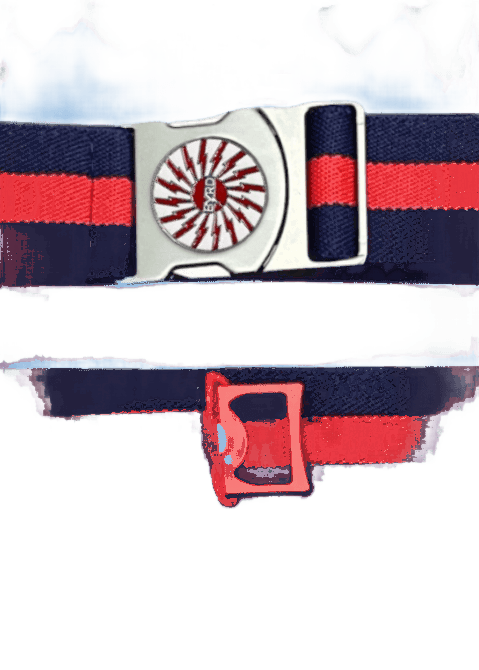 THE BYRD GOLF BELT - Organize Your Golf Gear
