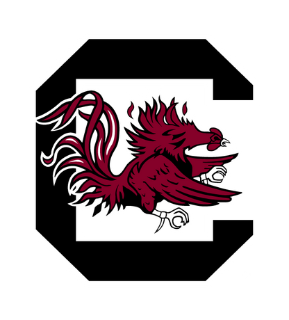 NCAA Golf Cart Accessories  - South Carolina