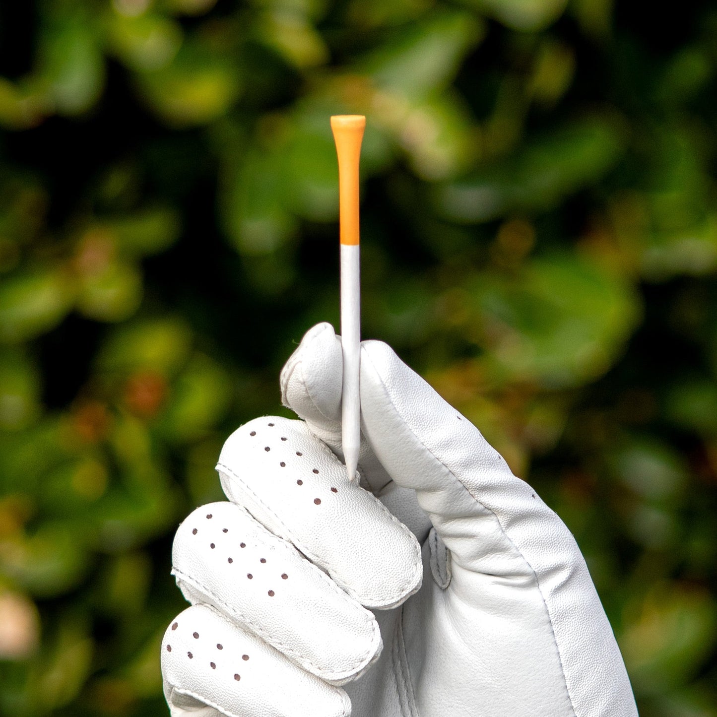 Original Caddy Classics Tees | 50 Slender bamboo 3¼ Inch Golf Tees