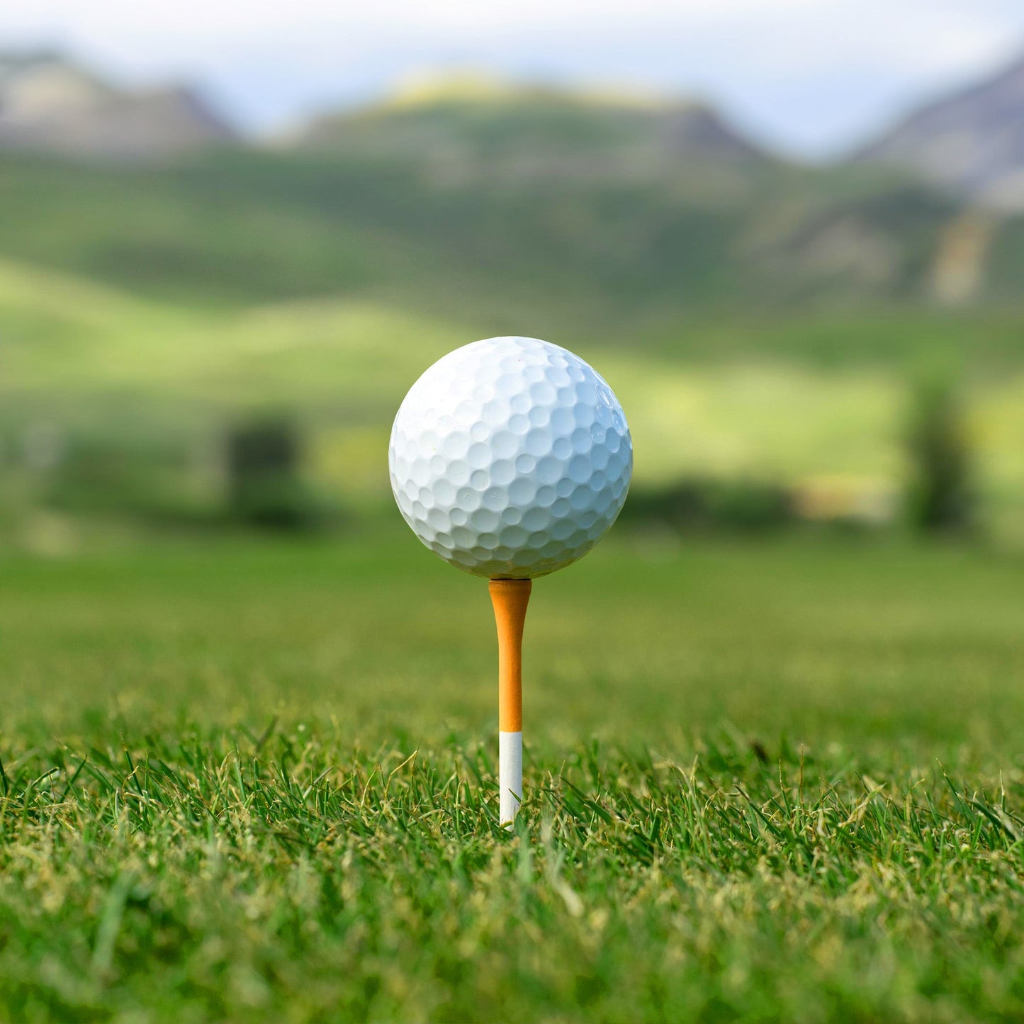 Original Caddy Classics Tees | 50 Slender bamboo 3¼ Inch Golf Tees