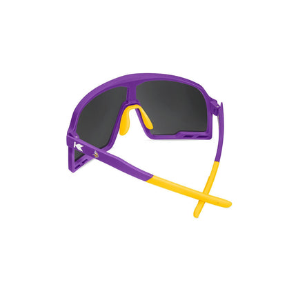 Minnesota Vikings Campeones