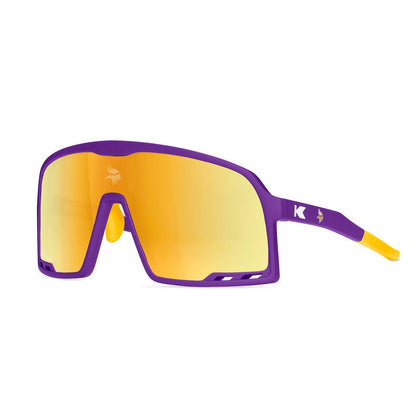 Minnesota Vikings Campeones