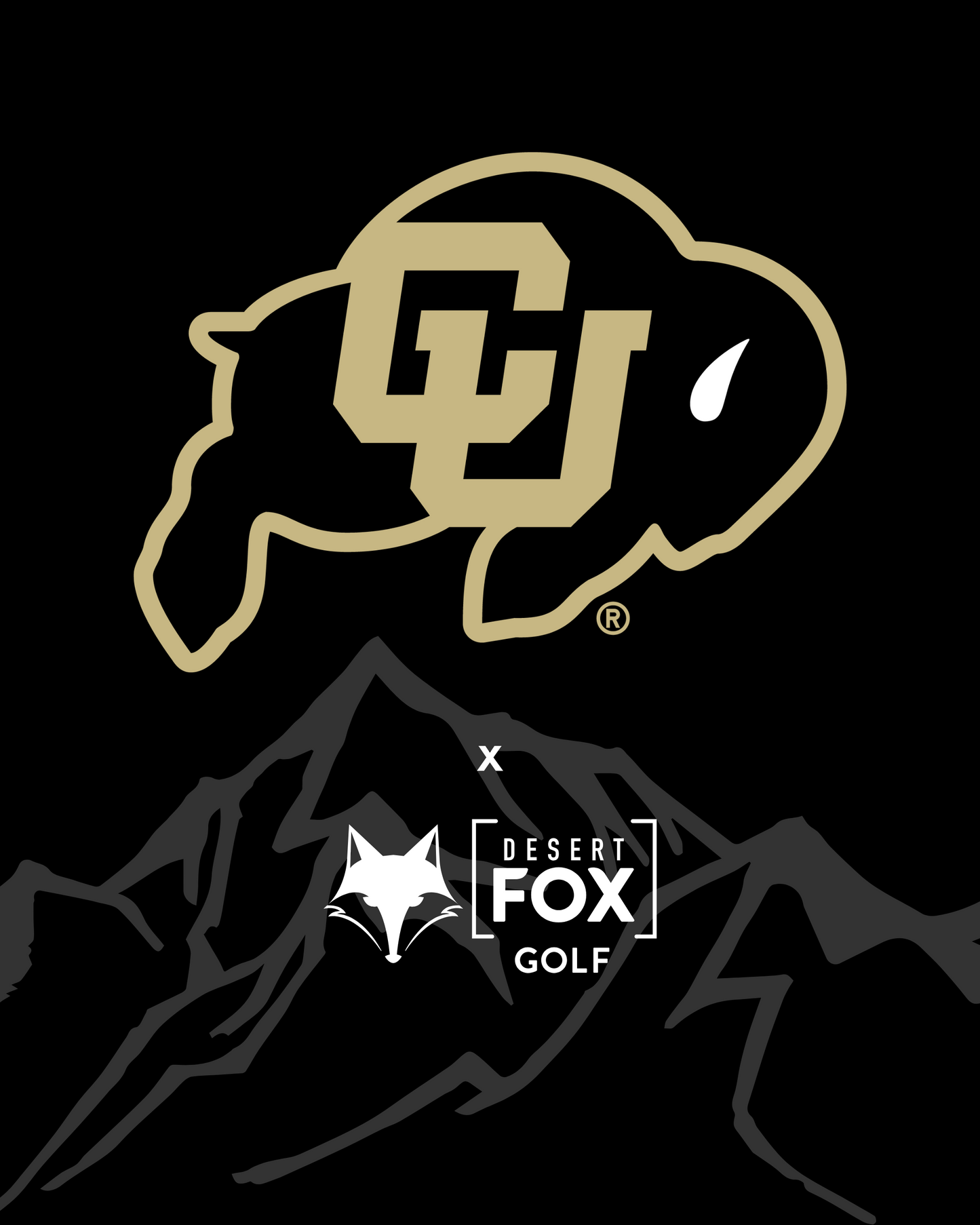 NCAA Golf Cart Accessories - Colorado