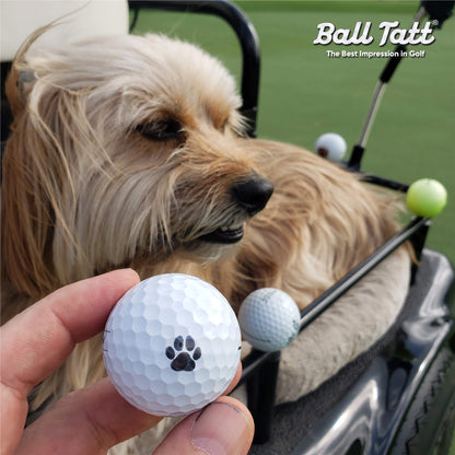 Dog Paw