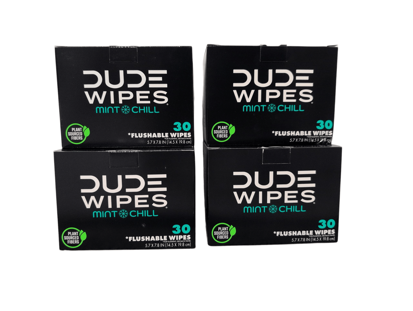 dude-wipes-xl-mint-flushable-wipes-4-pack-120-wipes-5542196 - GOLF LEAGUE