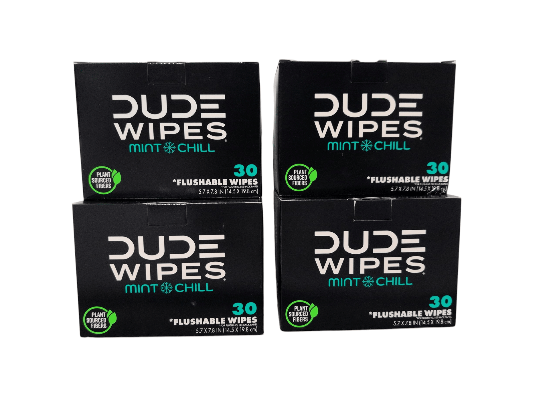 dude-wipes-xl-mint-flushable-wipes-4-pack-120-wipes-5542196 - GOLF LEAGUE