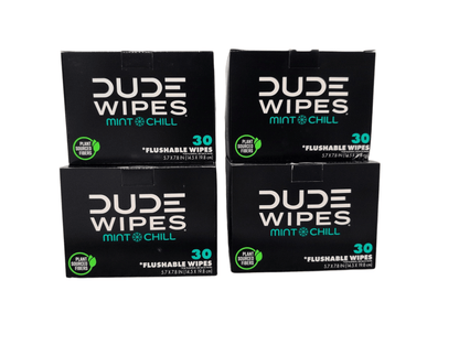 dude-wipes-xl-mint-flushable-wipes-4-pack-120-wipes-5542196 - GOLF LEAGUE