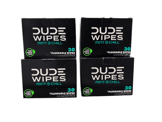 dude-wipes-xl-mint-flushable-wipes-4-pack-120-wipes-5542196 - GOLF LEAGUE