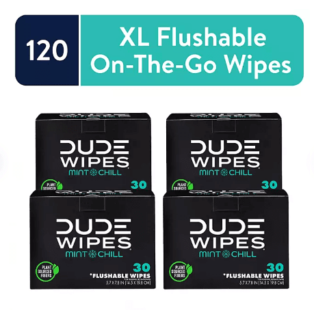 dude-wipes-xl-mint-flushable-wipes-4-pack-120-wipes-7869796 - GOLF LEAGUE
