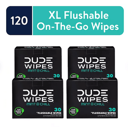 dude-wipes-xl-mint-flushable-wipes-4-pack-120-wipes-7869796 - GOLF LEAGUE