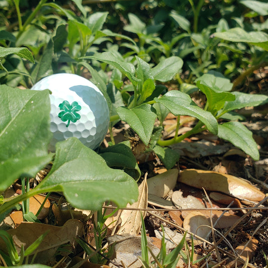 Clover 2-Pack