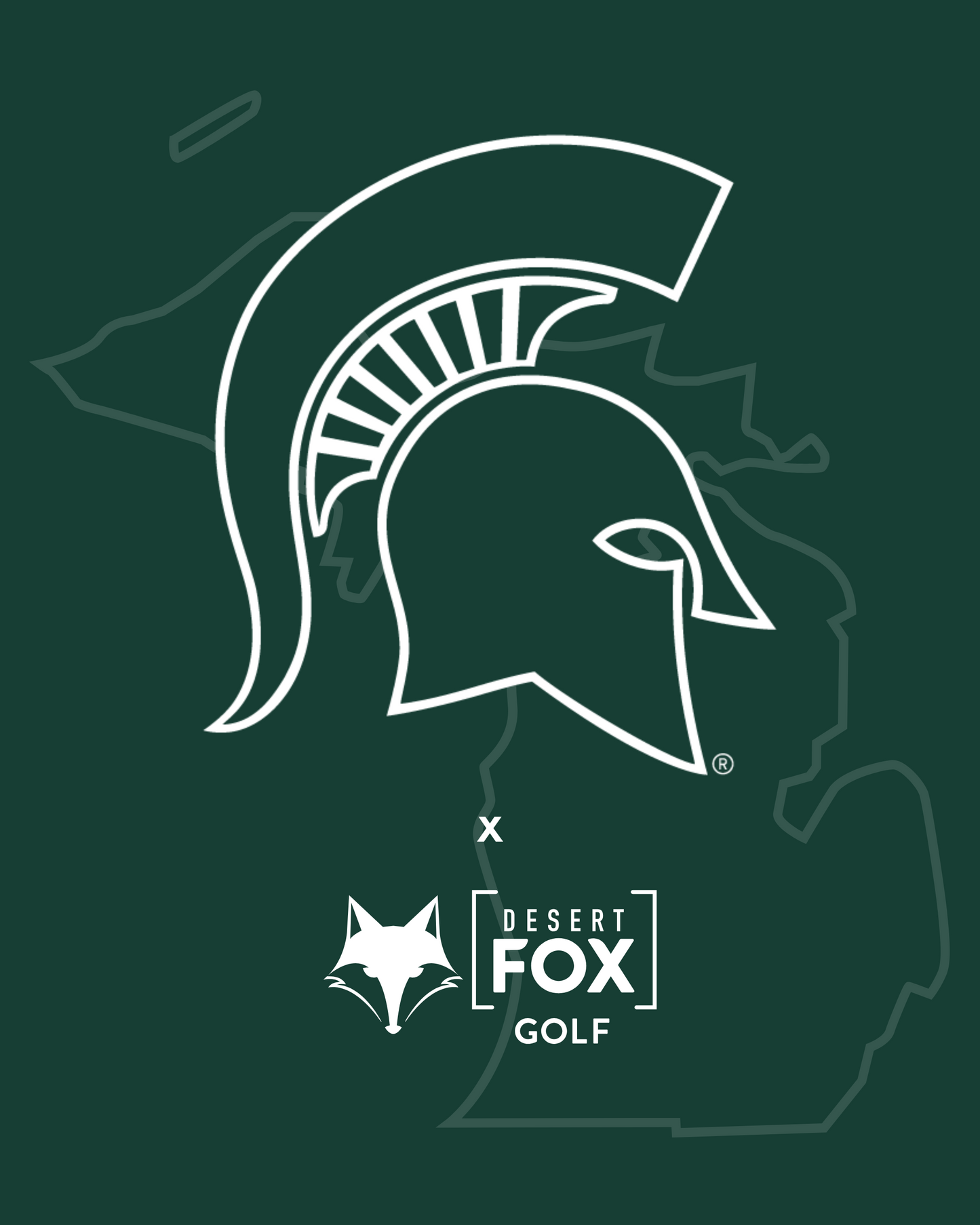 NCAA Golf Cart Accessories  - Michigan State