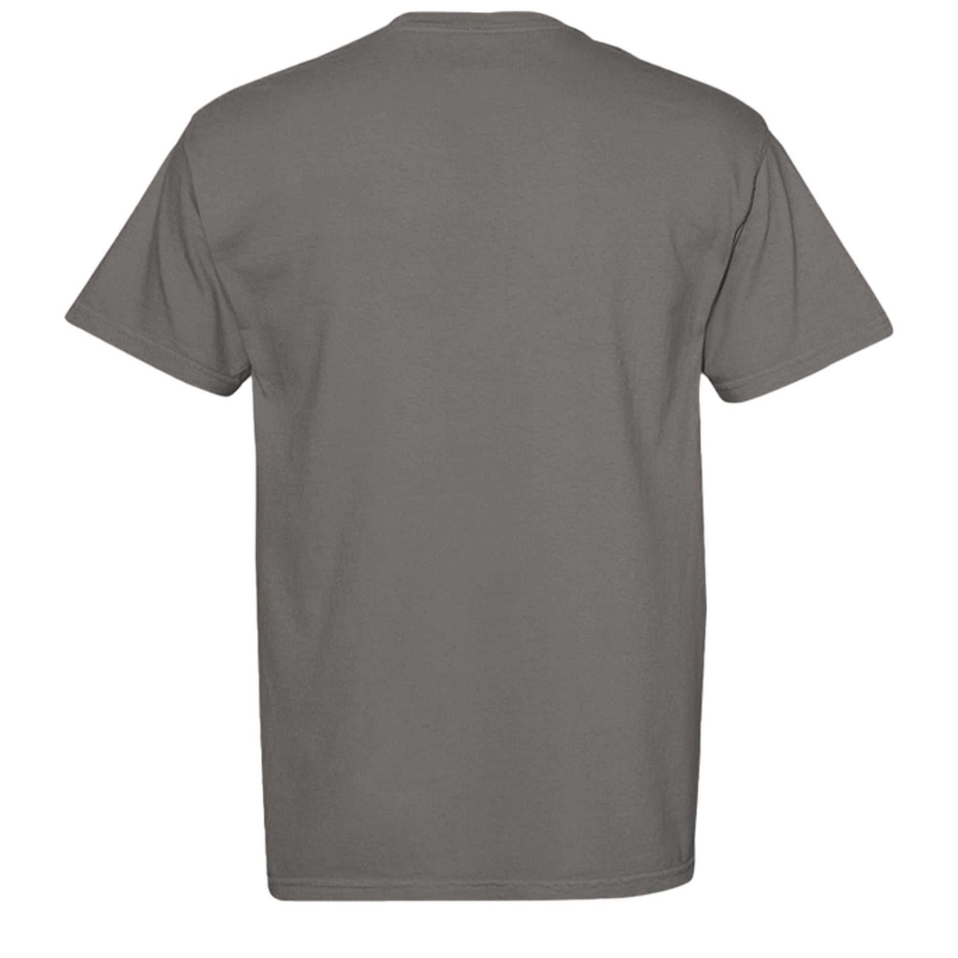 GREY - C1717 - BACK
