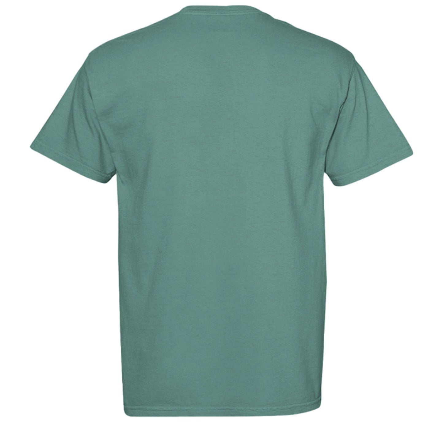 LIGHT GREEN - C1717 - BACK