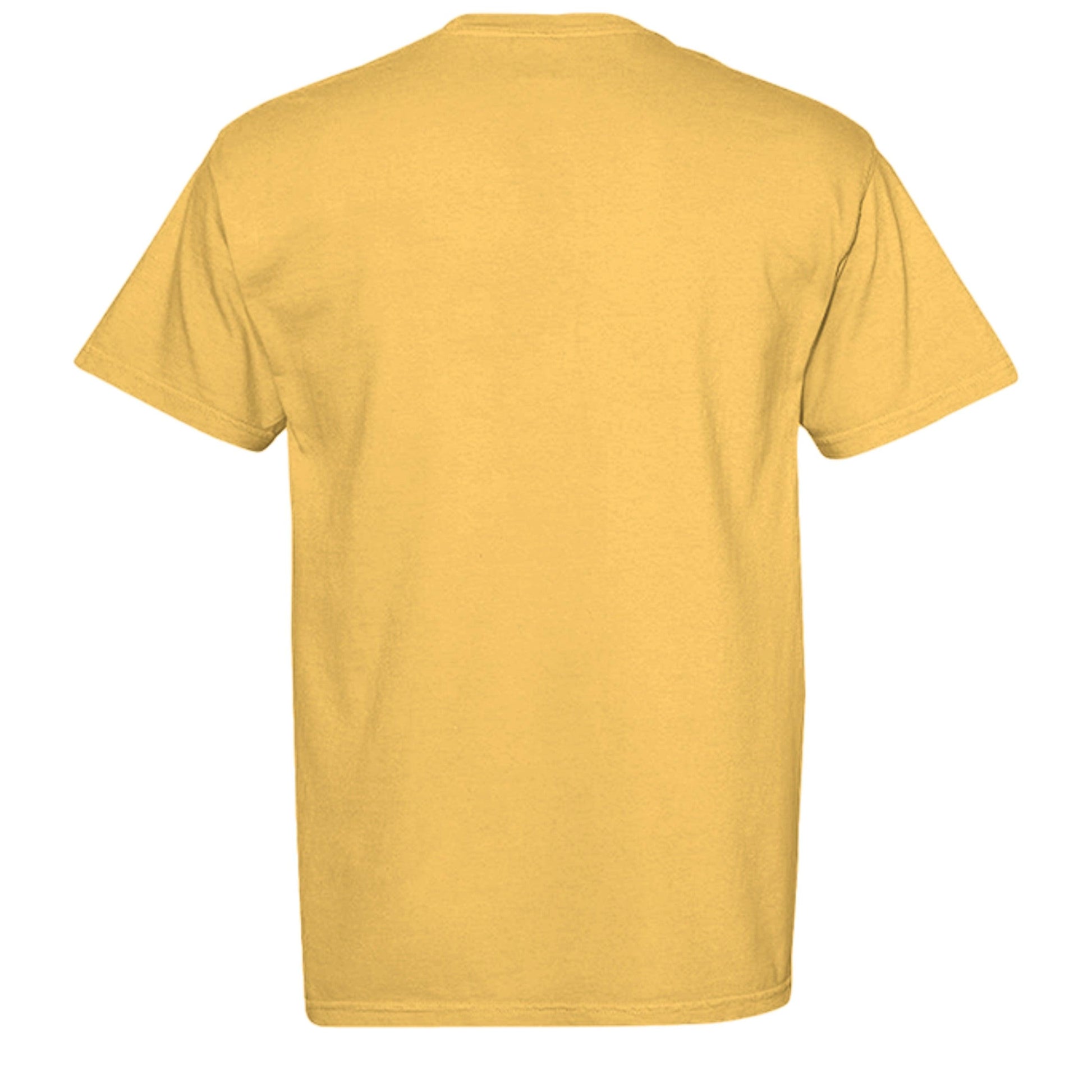 CITRUS - C1717 - BACK