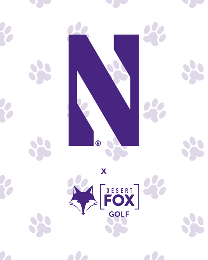 NCAA Golf Cart Accessories  - Northwestern