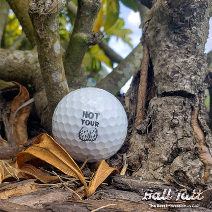 Not Your Ball