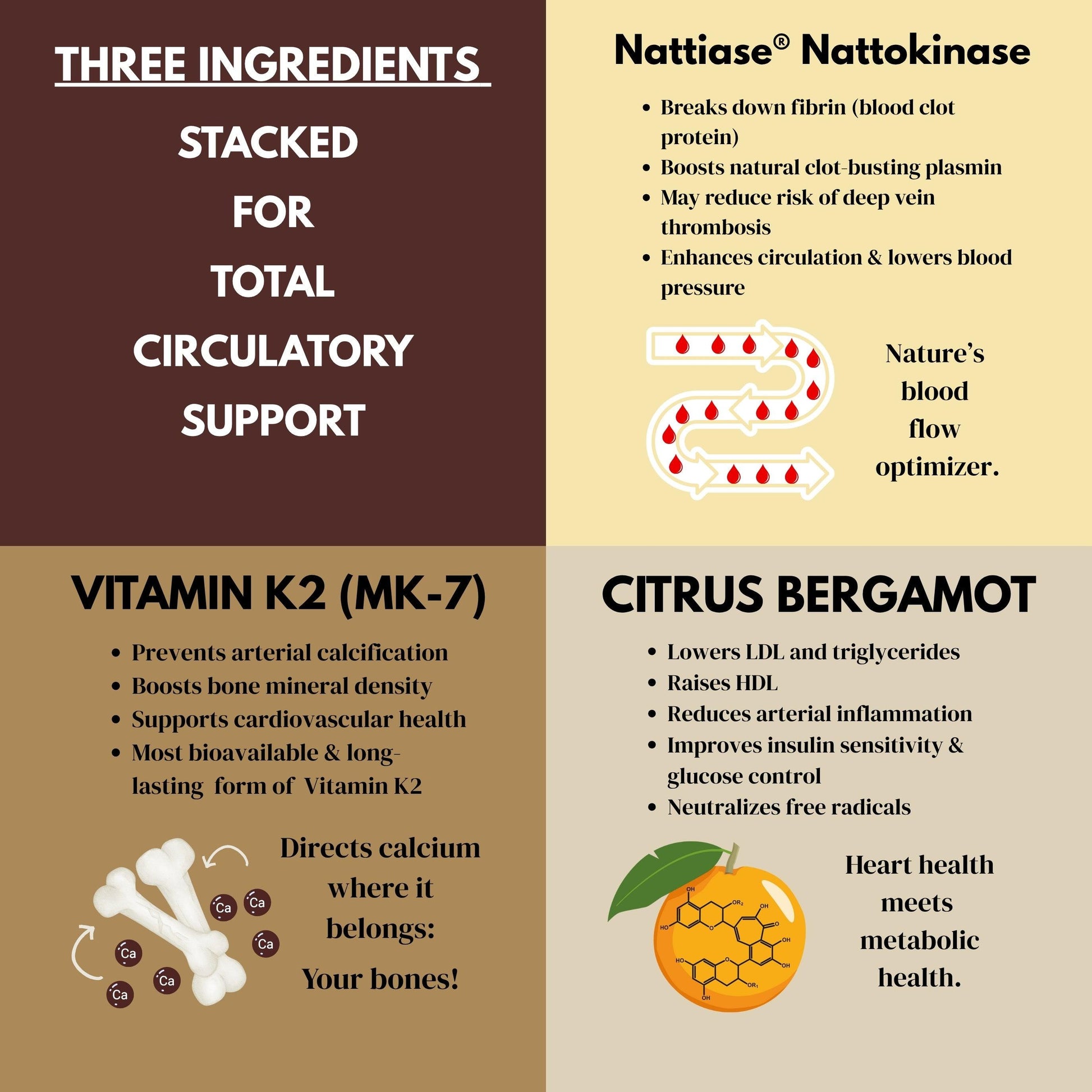 pure-blood-ingredients-vitamin-k2-nattokinase-citrus-bergamot-infographic - GOLF LEAGUE