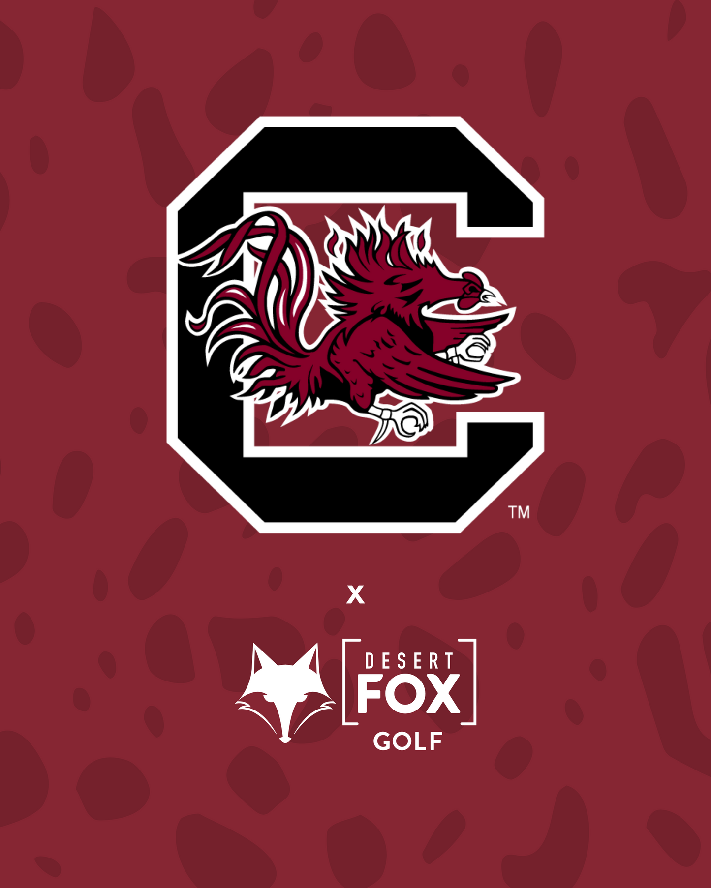 NCAA Golf Cart Accessories  - South Carolina