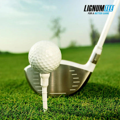 tee_poster_f4e0ead8-7136-4334-b8ca-e5451a3c8b53 - GOLF LEAGUE
