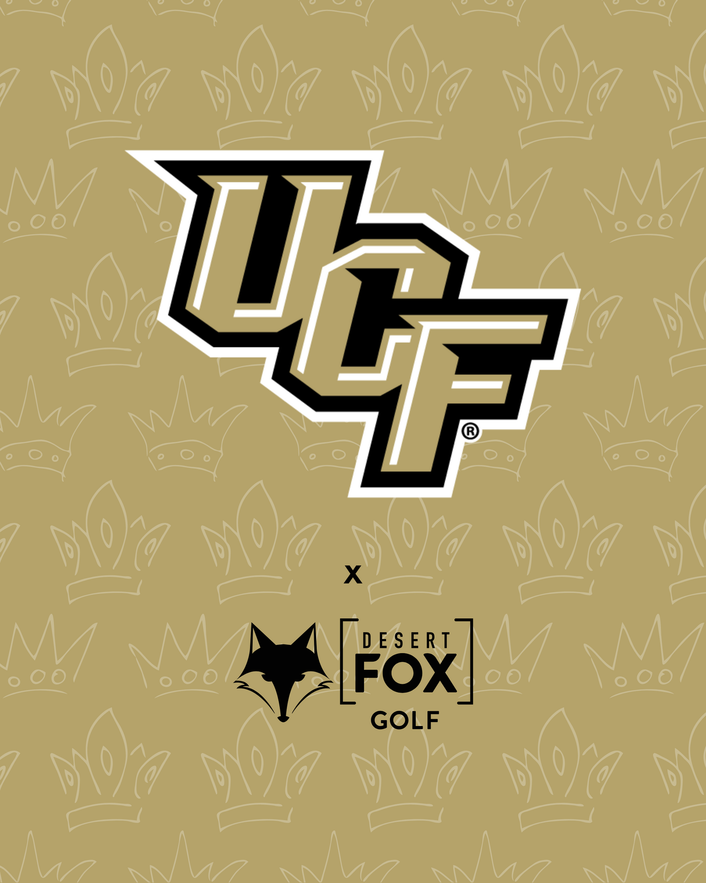 NCAA Golf Cart Accessories - UCF